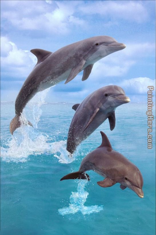 Dolphin painting - Sea life Dolphin art painting